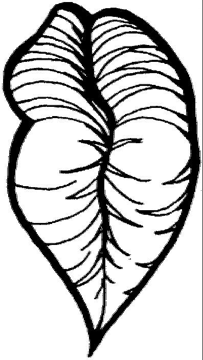 Plansa de colorat cu Biologie 96 73